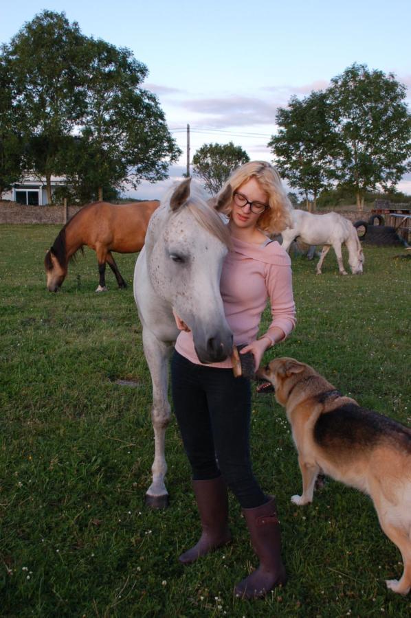 Bed and Breakfast The Little Flock Farm Cloonmore Екстер'єр фото